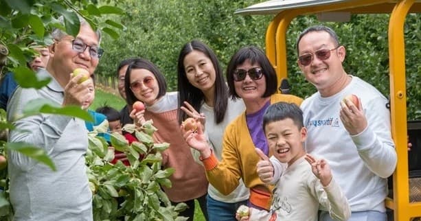 Guided Orchard Tour