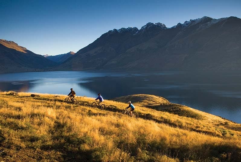 Queenstown to Jacks Point Shuttle 🚐
