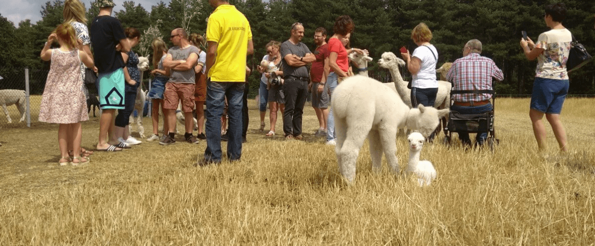 Kinderrondleiding