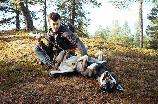 Hike with Huskies: Ullatieva Trail