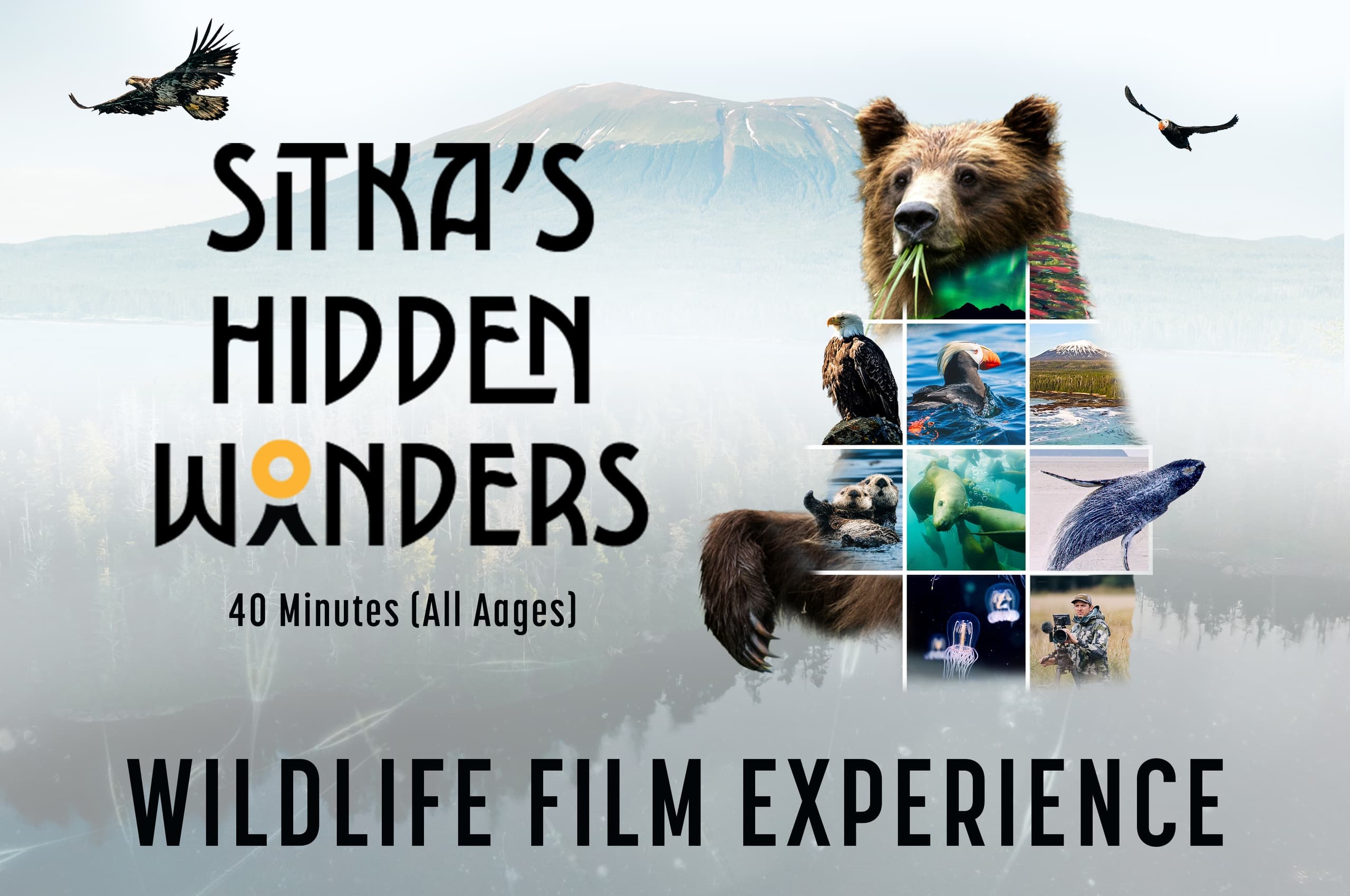 Sitka's Hidden Wonders: Wildlife Film Experience