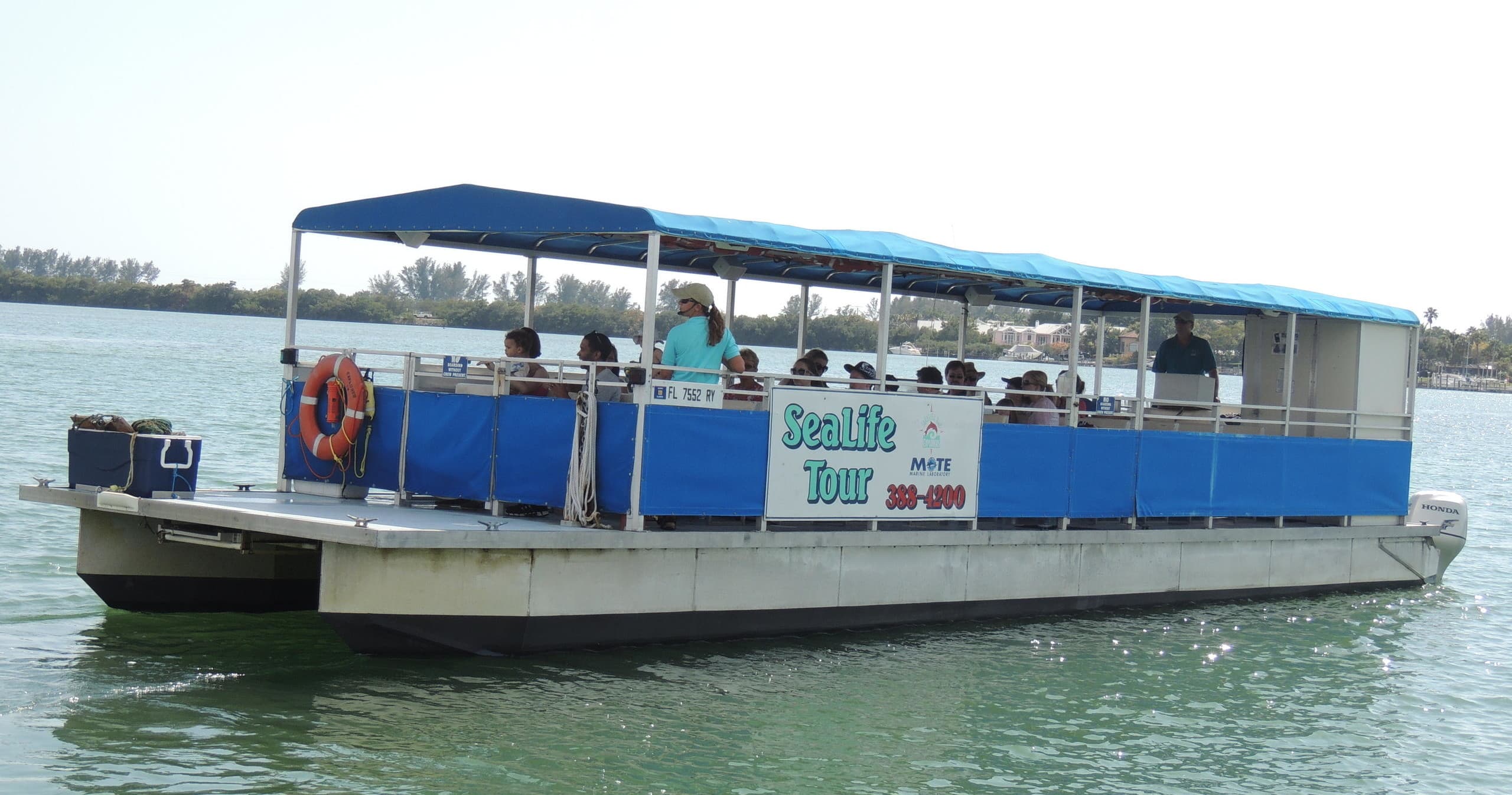 Sea Life Encounter Cruise