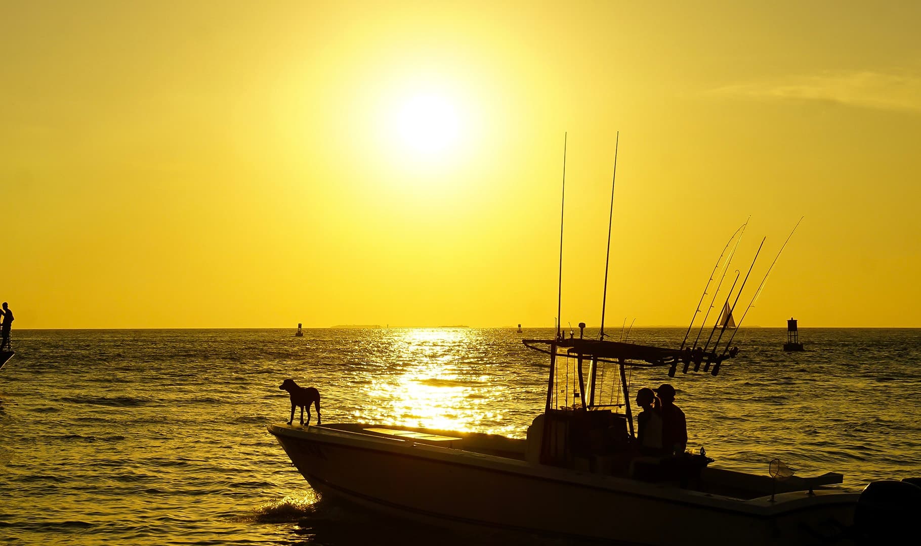 Sunset Tarpon Fishing:  4 hours