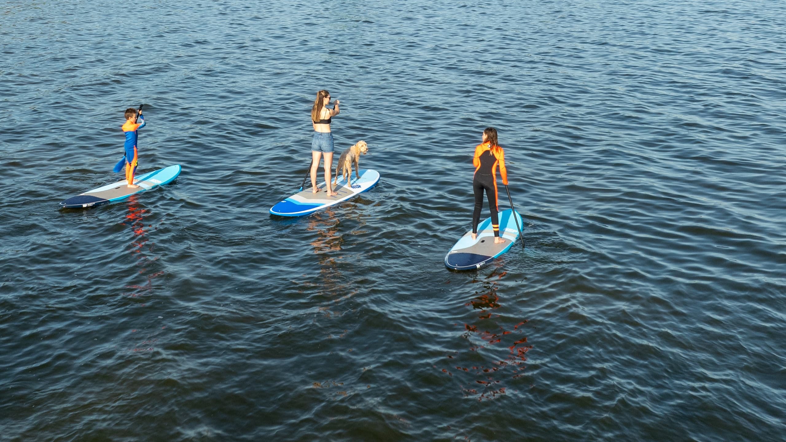 SUP Rentals