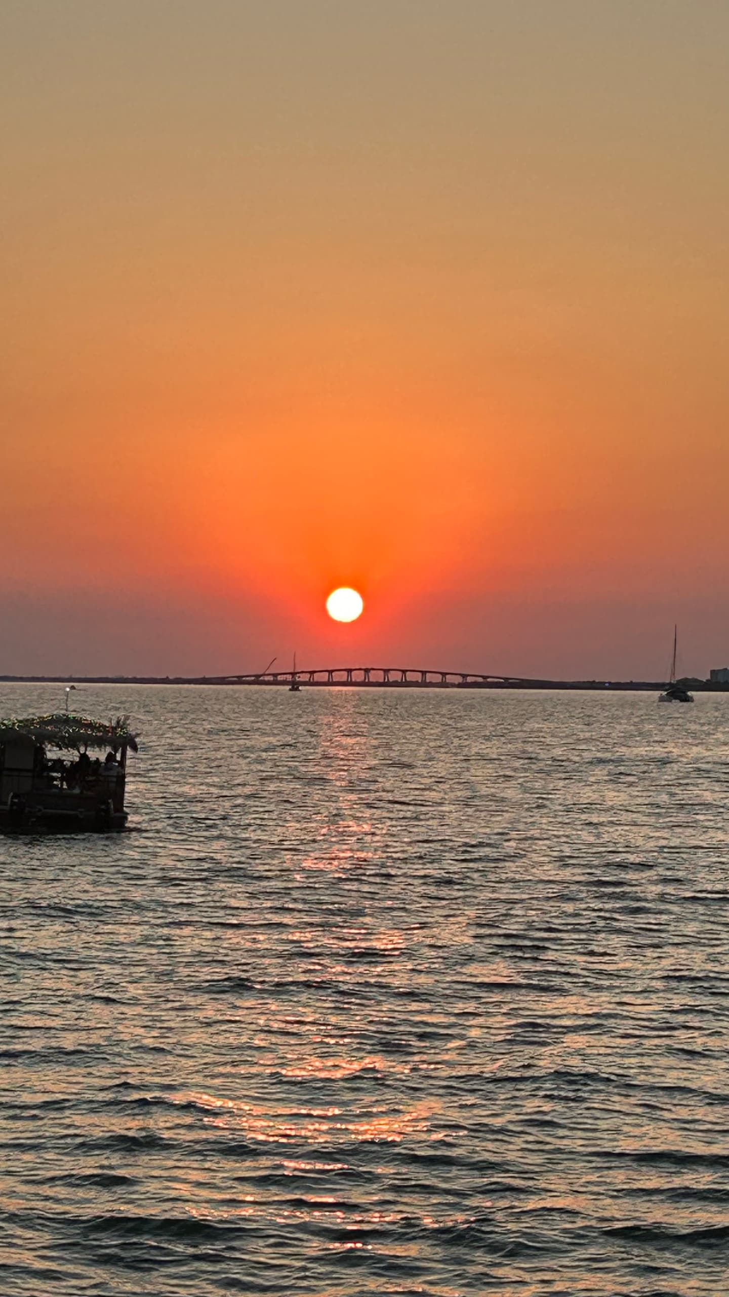 1.5 Hour Sunset and Dolphin Cruise