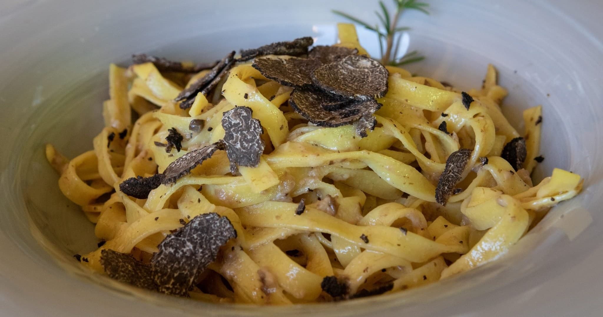Truffle Hunting & Cooking Class