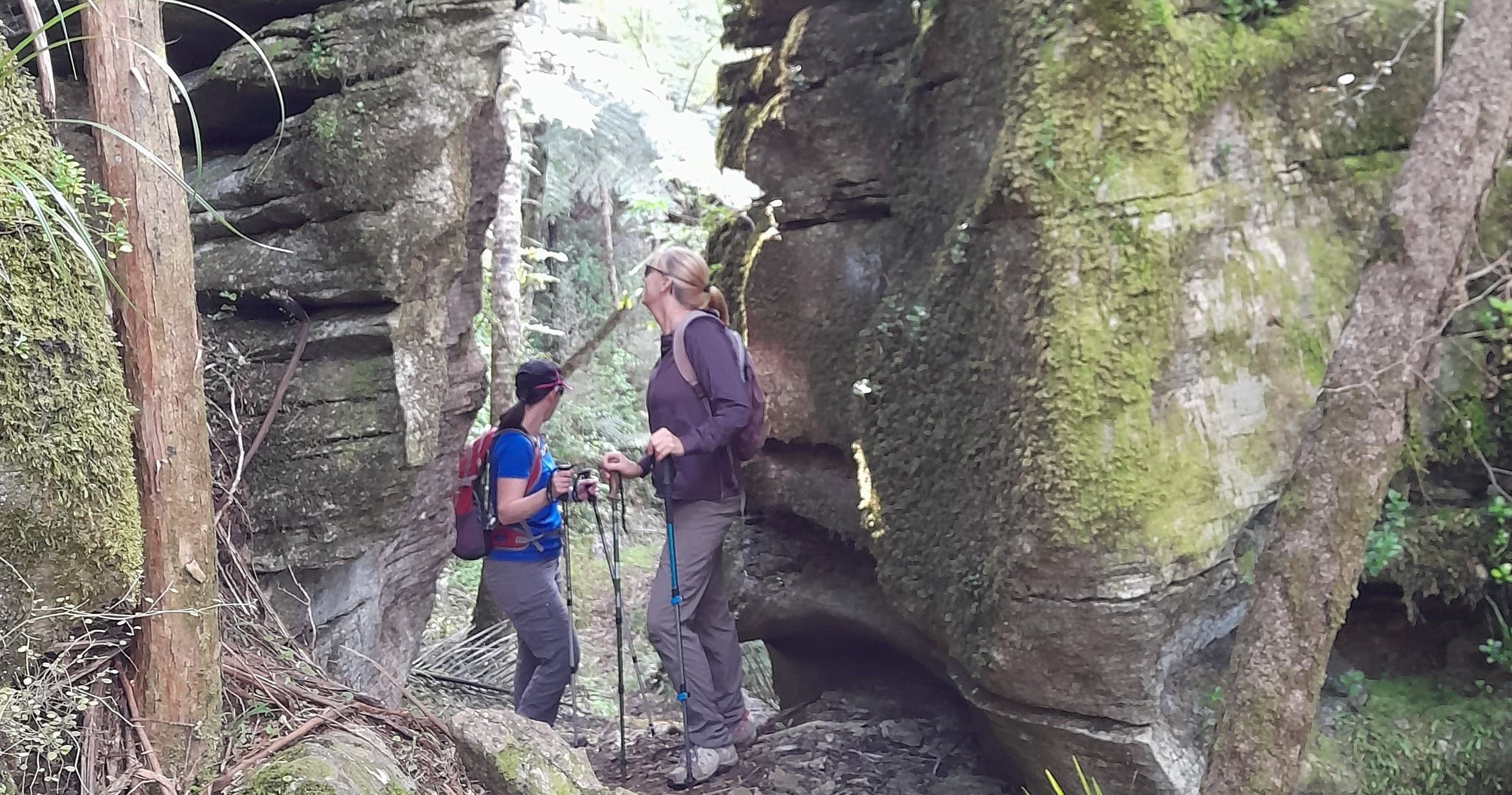 Day Visitor & Jurassic Walks