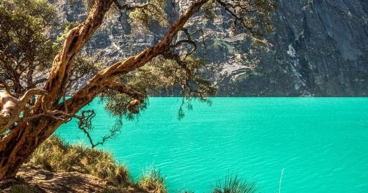 Half Day Private Hiking Adventure in Yellowstone with Lunch