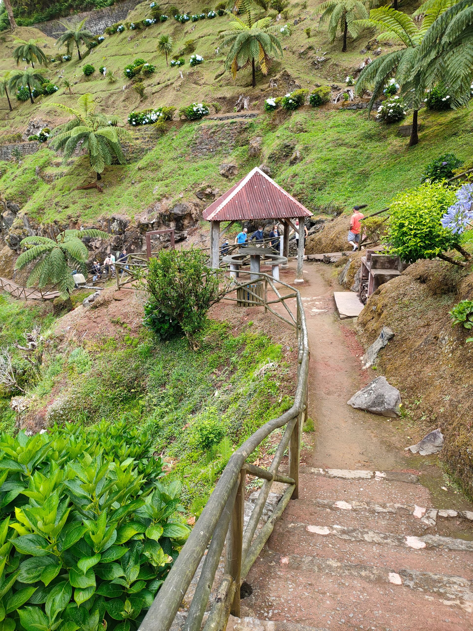 Furnas e Nordeste