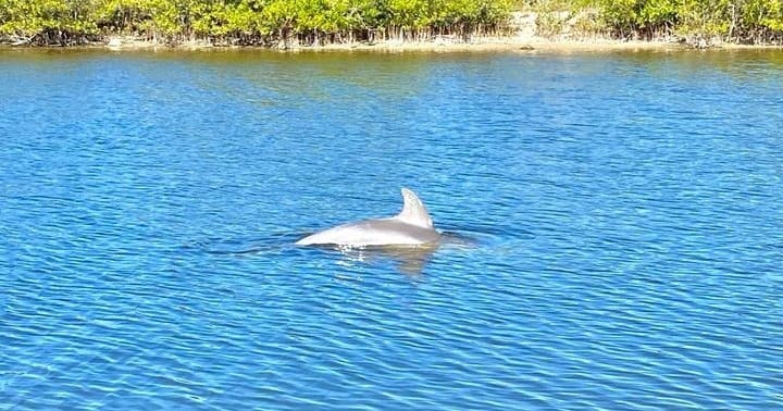 Majestic Nature Tour (eco-tour)