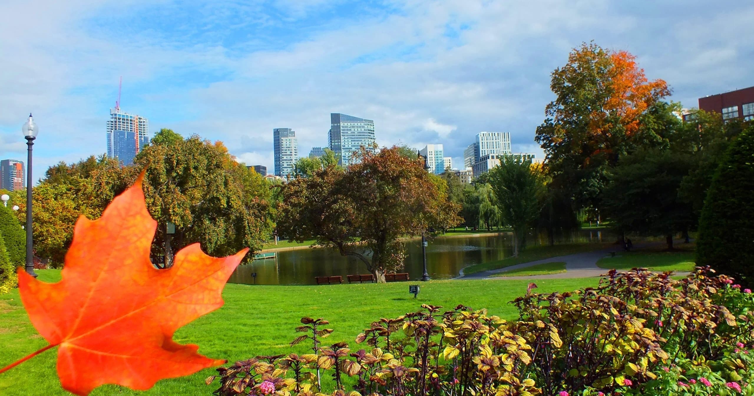 The boSTONER: Cannabis and Cannoli Tour