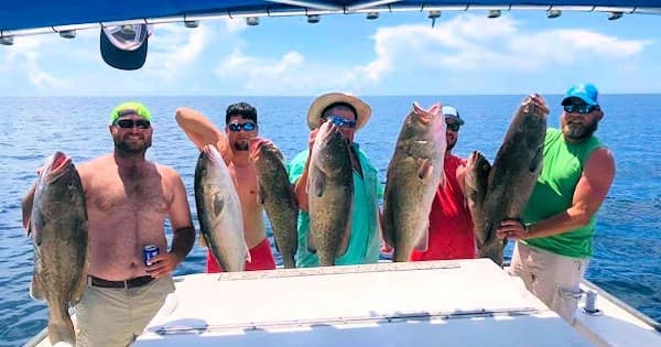 Hardcore Bottom Fishing: 10 Hours of Hot Action
