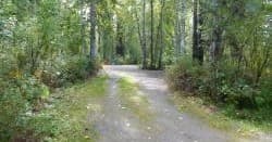 Camp Site 67