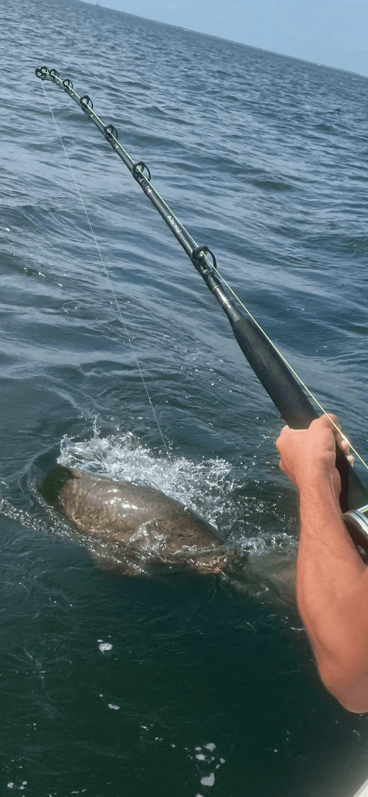 Eight Hour Goliath and Grouper River Fishing