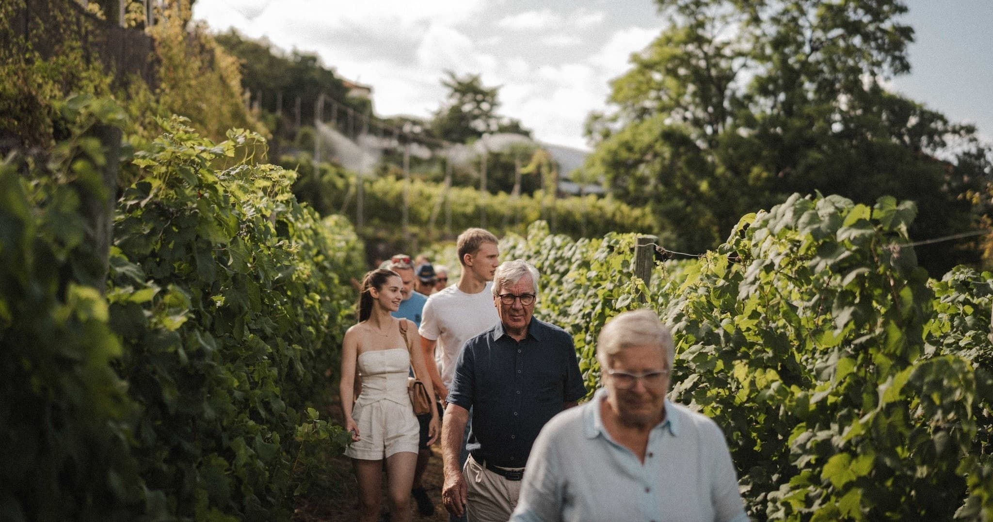 Madeira Vineyard Heritage Experience