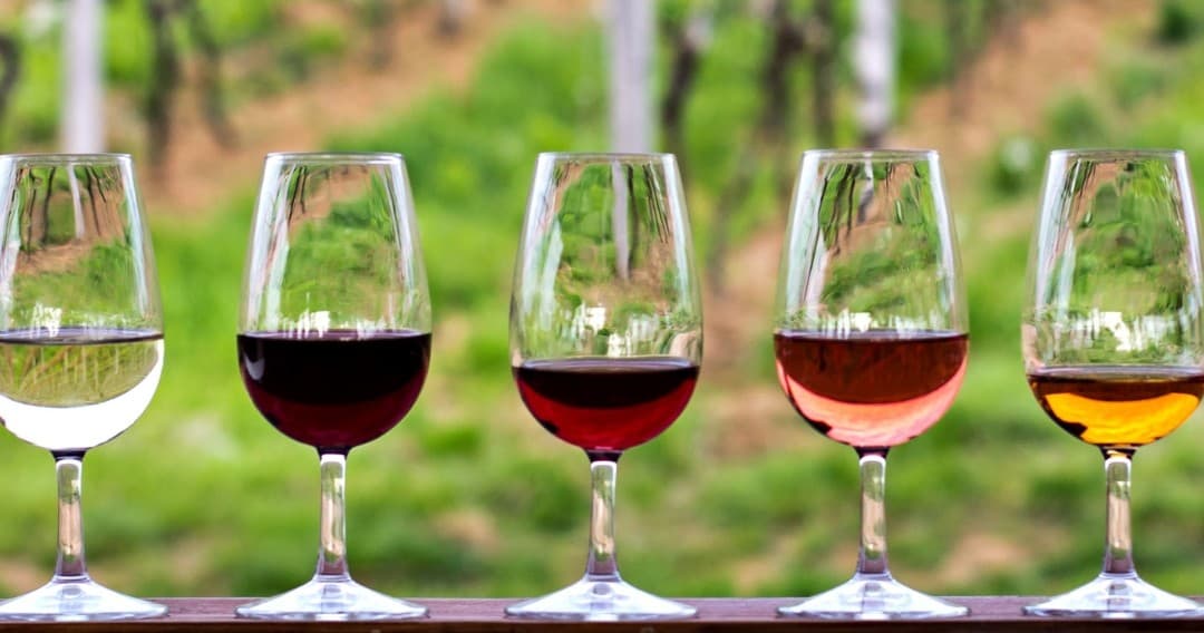 Tomar Wine Tasting Experience