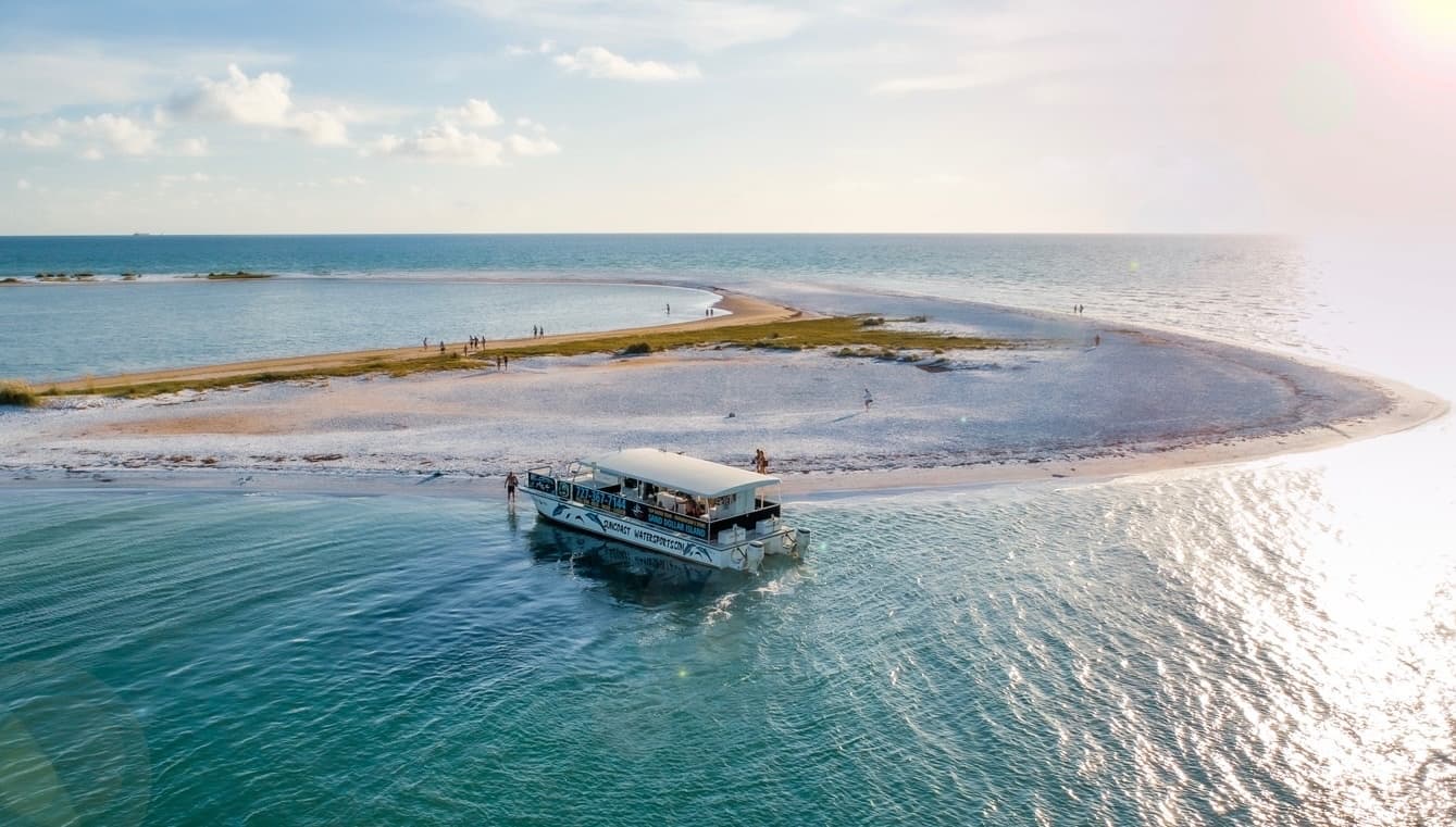 Famous Sand Dollar Island Dolphin Tour