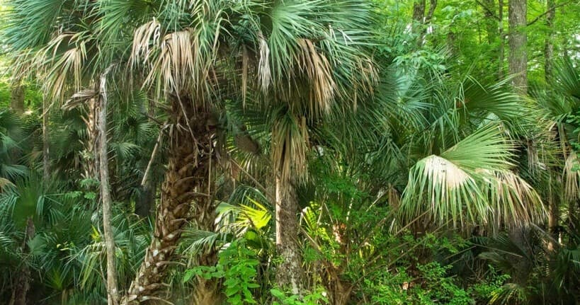History/Nature Tour