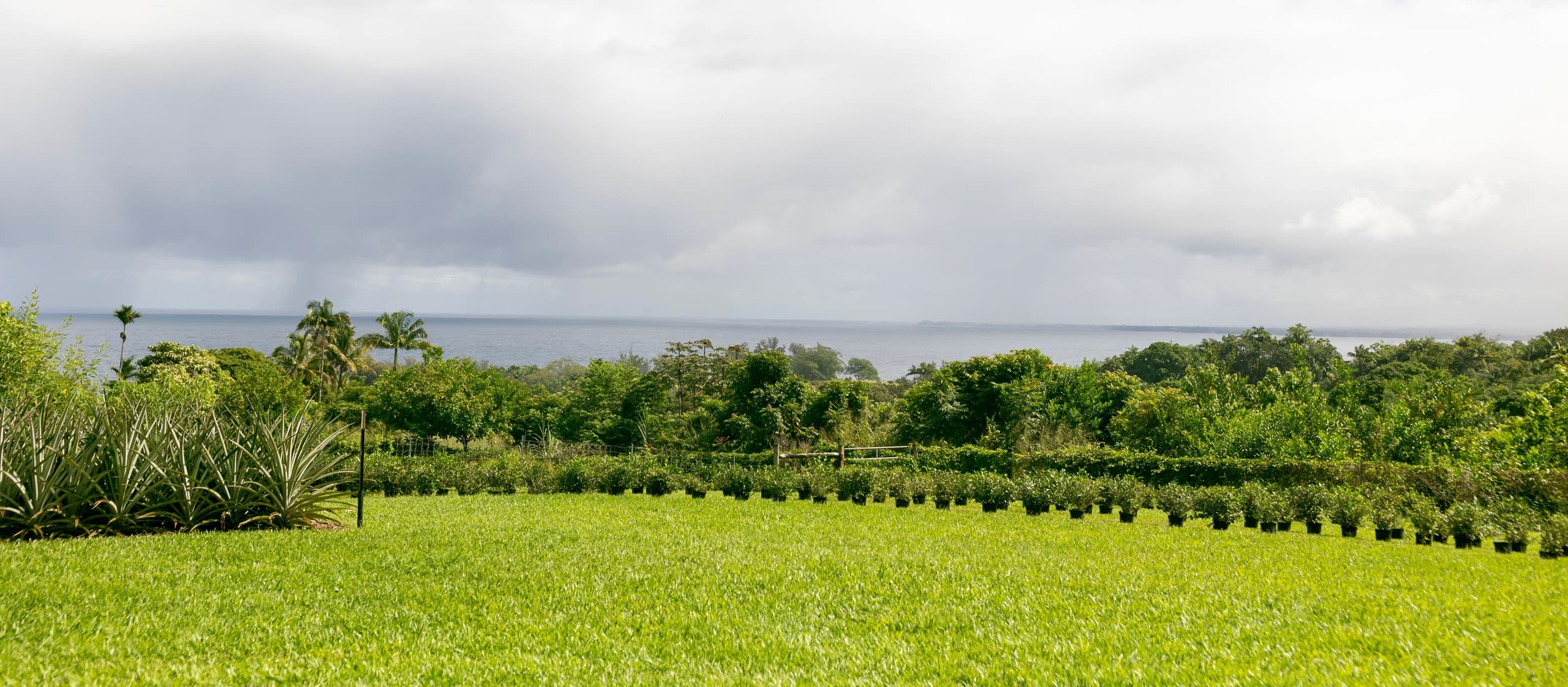 Farm Tour &  Tea Tasting