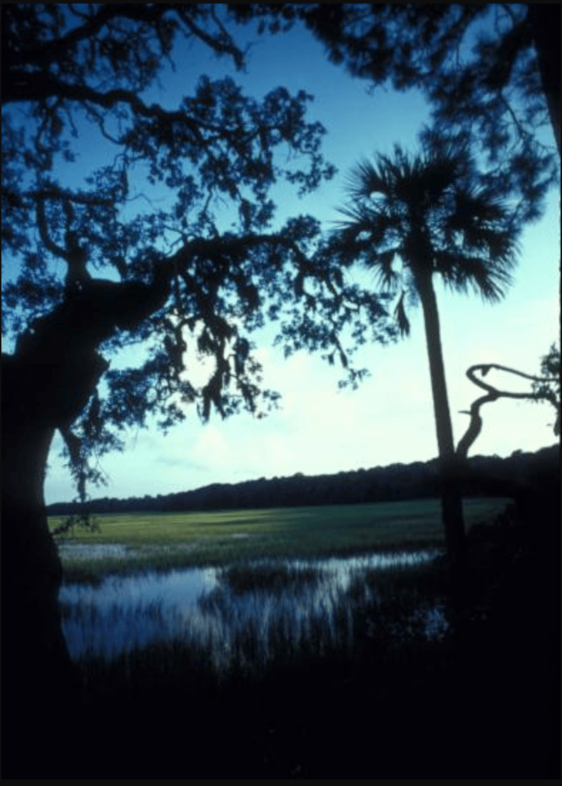 Savannah Dark History Tour