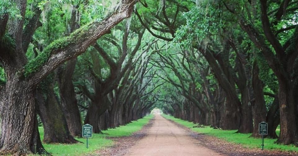 Whitney Plantation Audio Tour