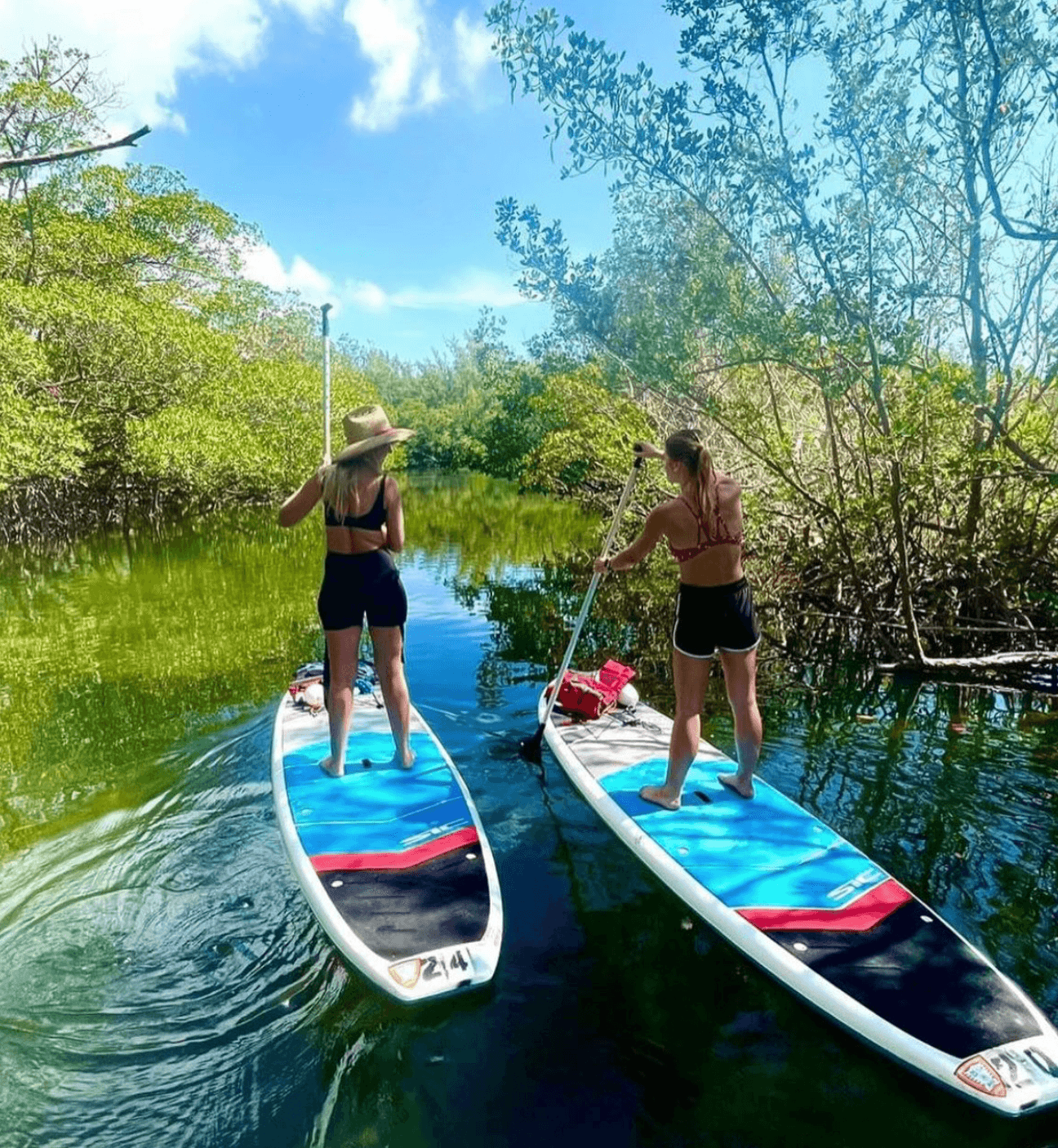 SUP RENTALS