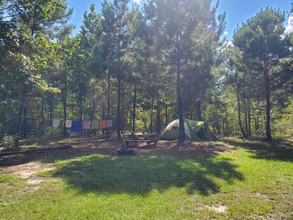 Wooded Campsite #6