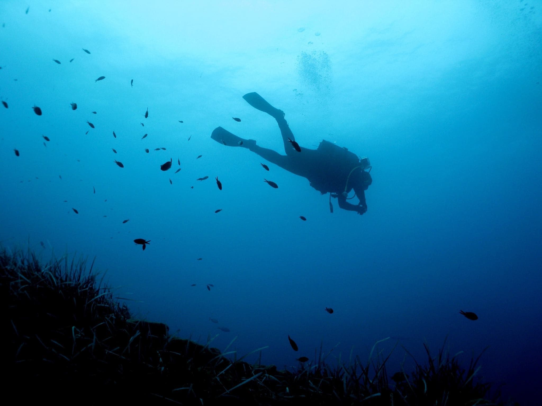Adventure Dives for certified divers