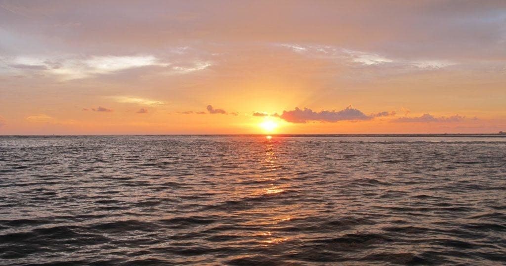 Dolphin and Sunset Adventure