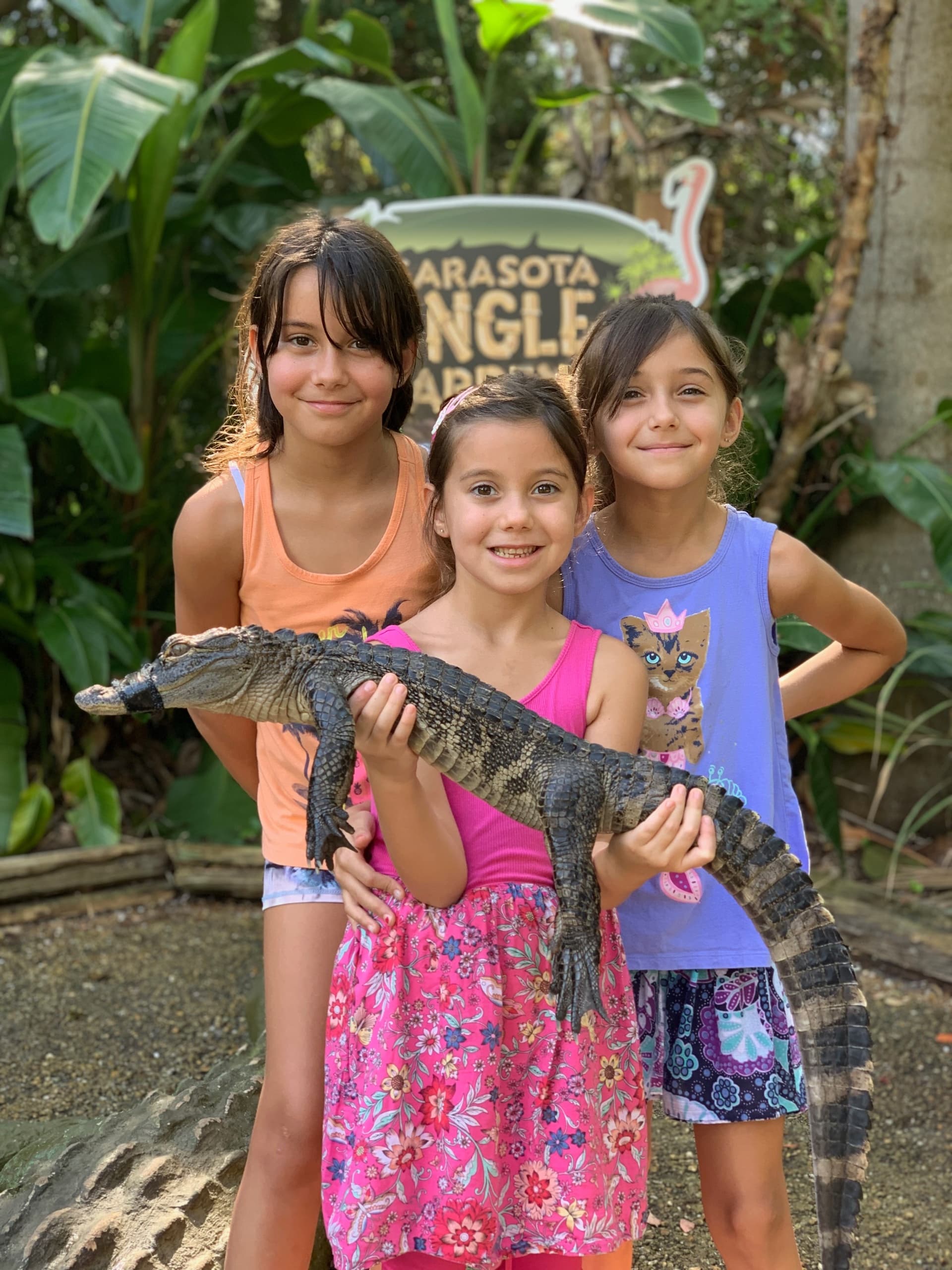 Alligator Encounter