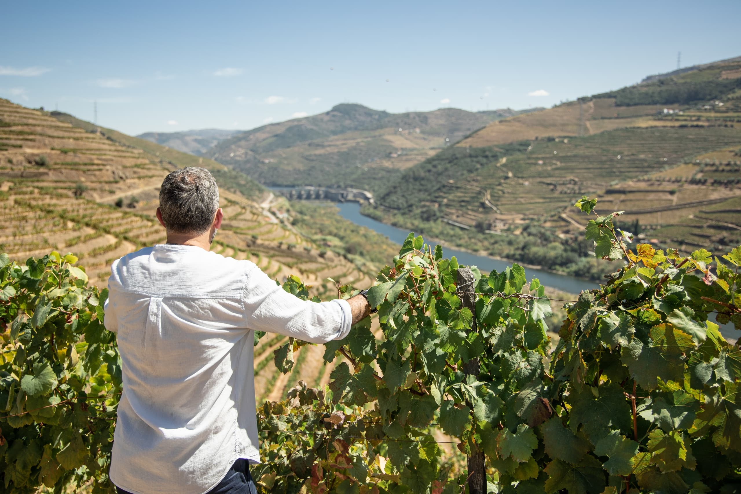 Casa da Vinha / Visita guiada com Prova Vinhos do Porto
