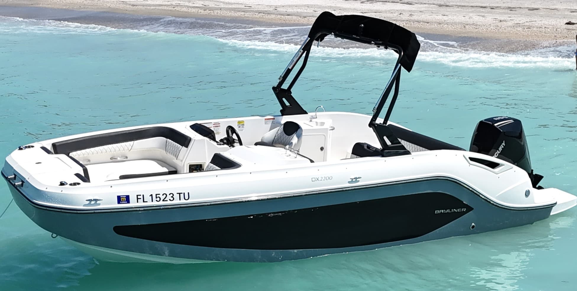 Big Gray Bayliner DX2200