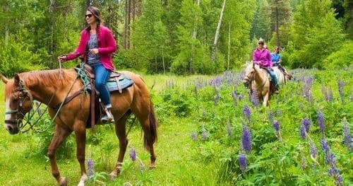 3 Hour Private Ride
