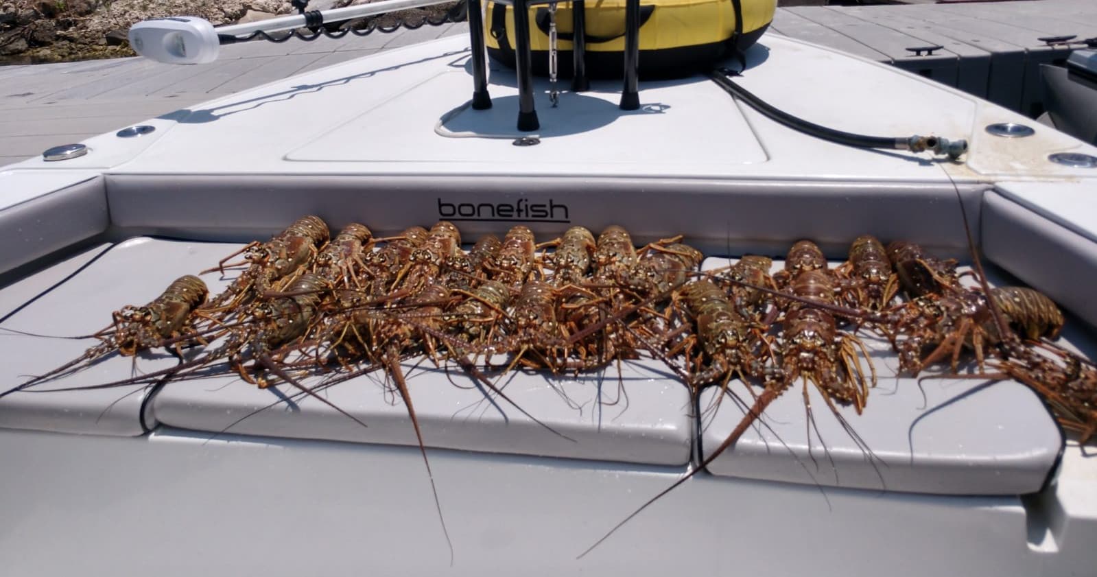Key West Lobstering