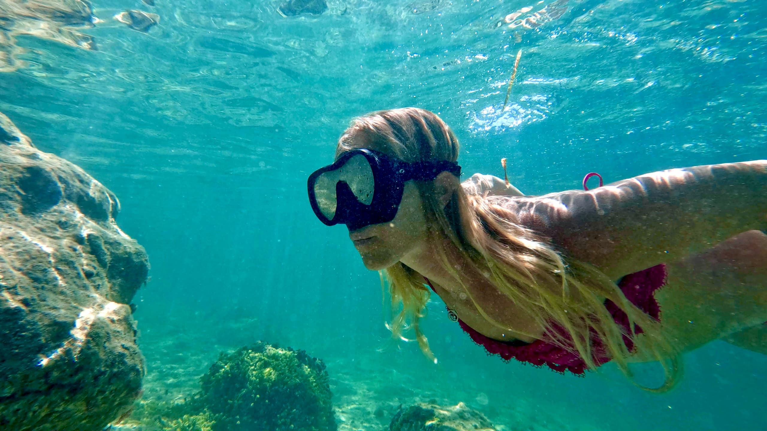 Guided Snorkel Tour -West Palm Beach