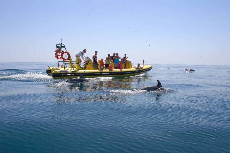 Insonia - Caves & Dolphin Watching