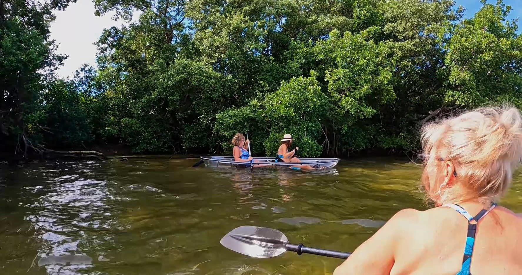 Clear Kayak Day Tours - AMI/Bradenton Mangroves