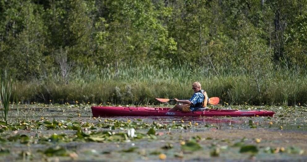 Eco-Estuary Tour