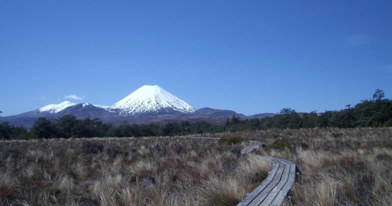 Auckland to Coromandel, Taupo and Rotorua Private 7 Day Tour