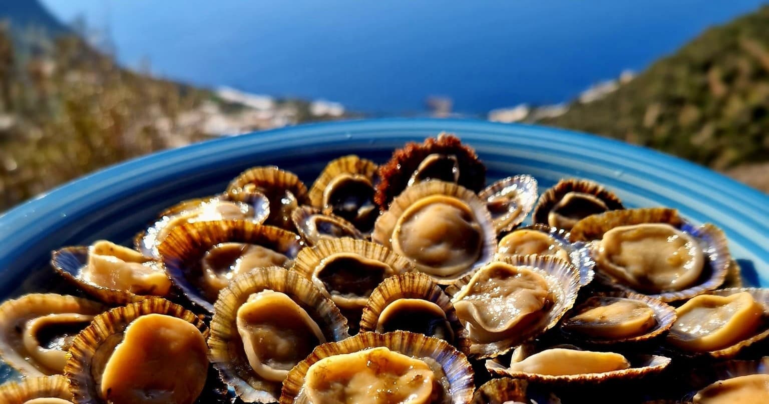 Sicily Lemon Tour + Cooking + Lunch/Dinner