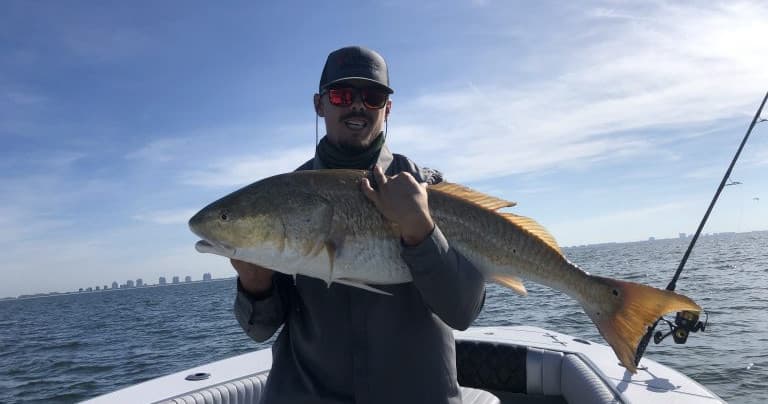 Half Day Charter