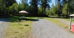 Camp Site 12