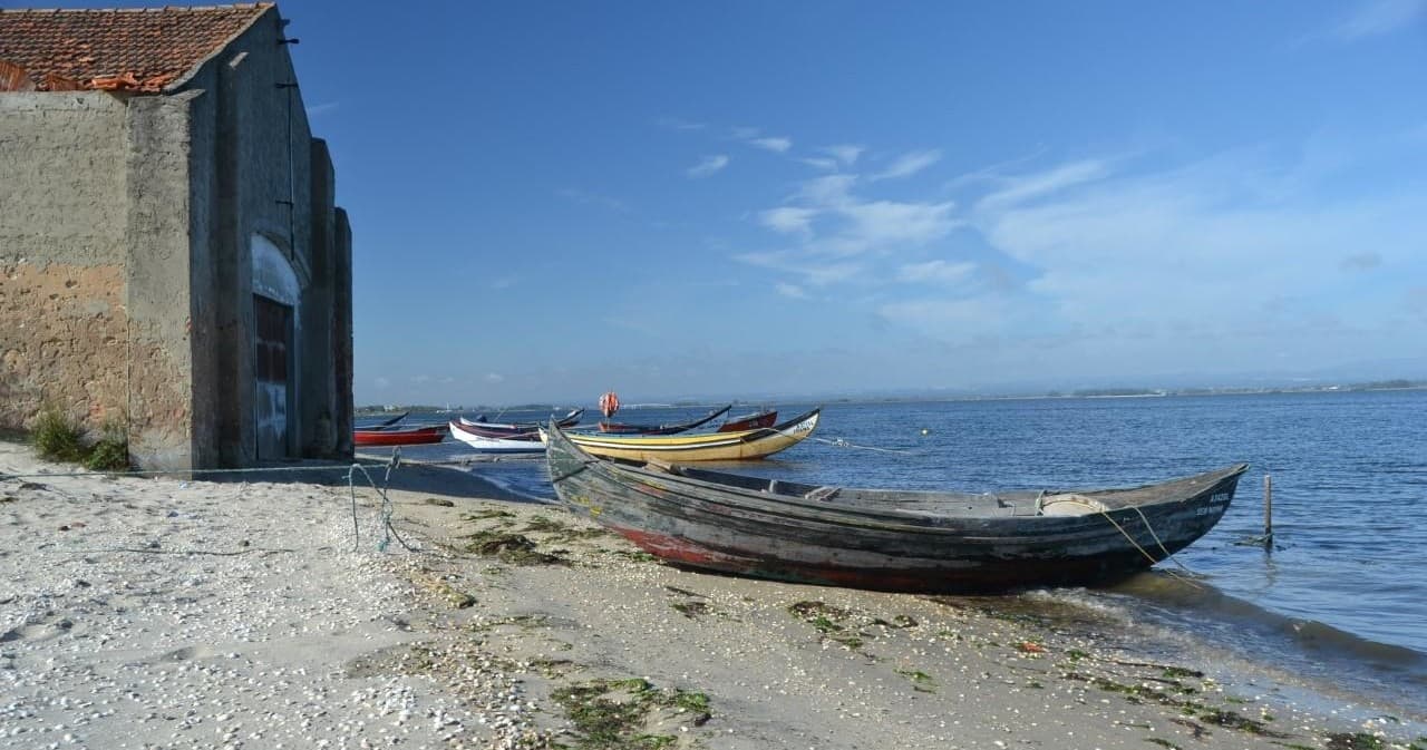 Aveiro Private Tour From Porto