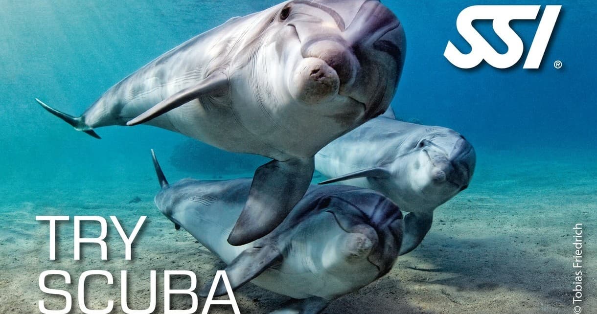 SSI Try Scuba VIP Kurs