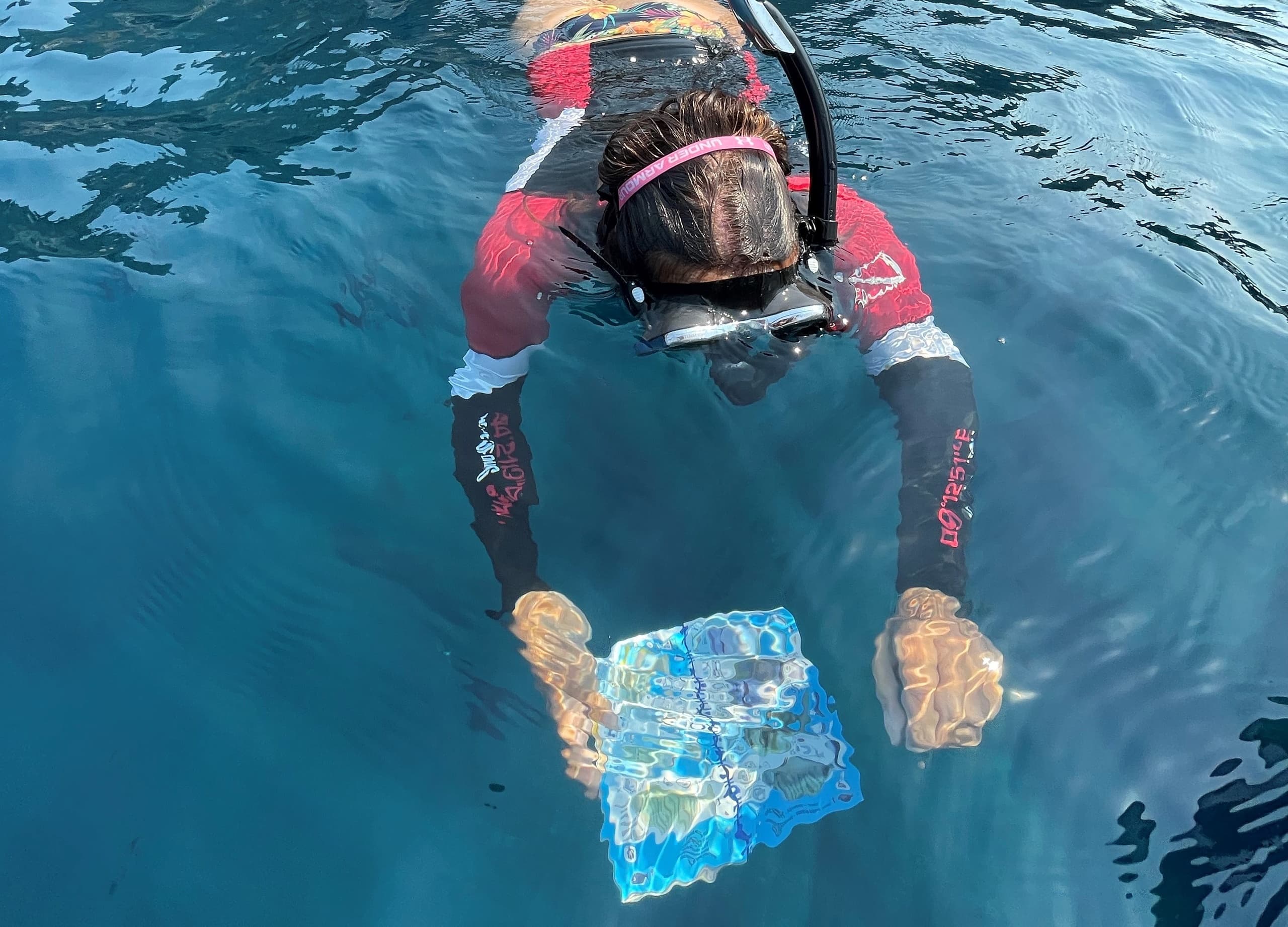 Snorkeling and Sea Watching experience in the Marine Protected Area of Porto Venere