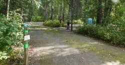 Camp Site 44