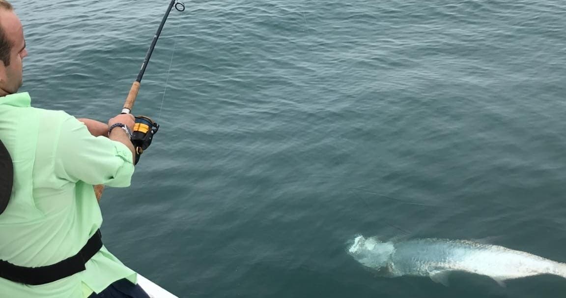 Tarpon Fishing