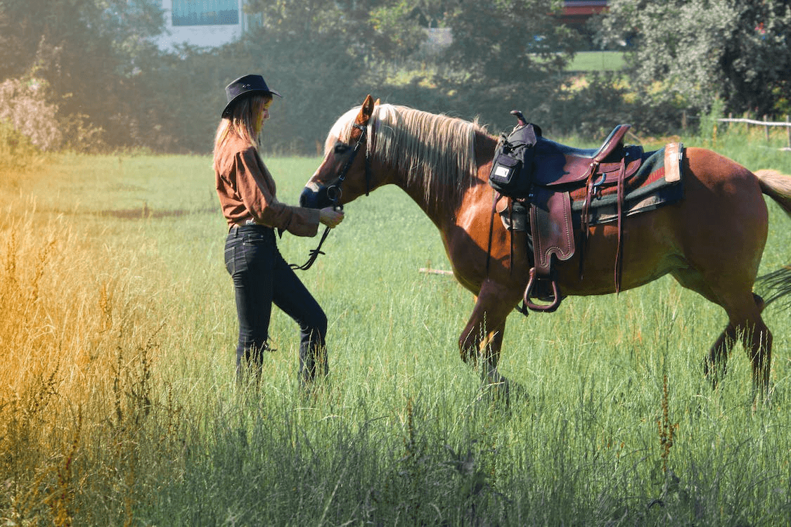 Junior Wrangler Program: Full-Day Session