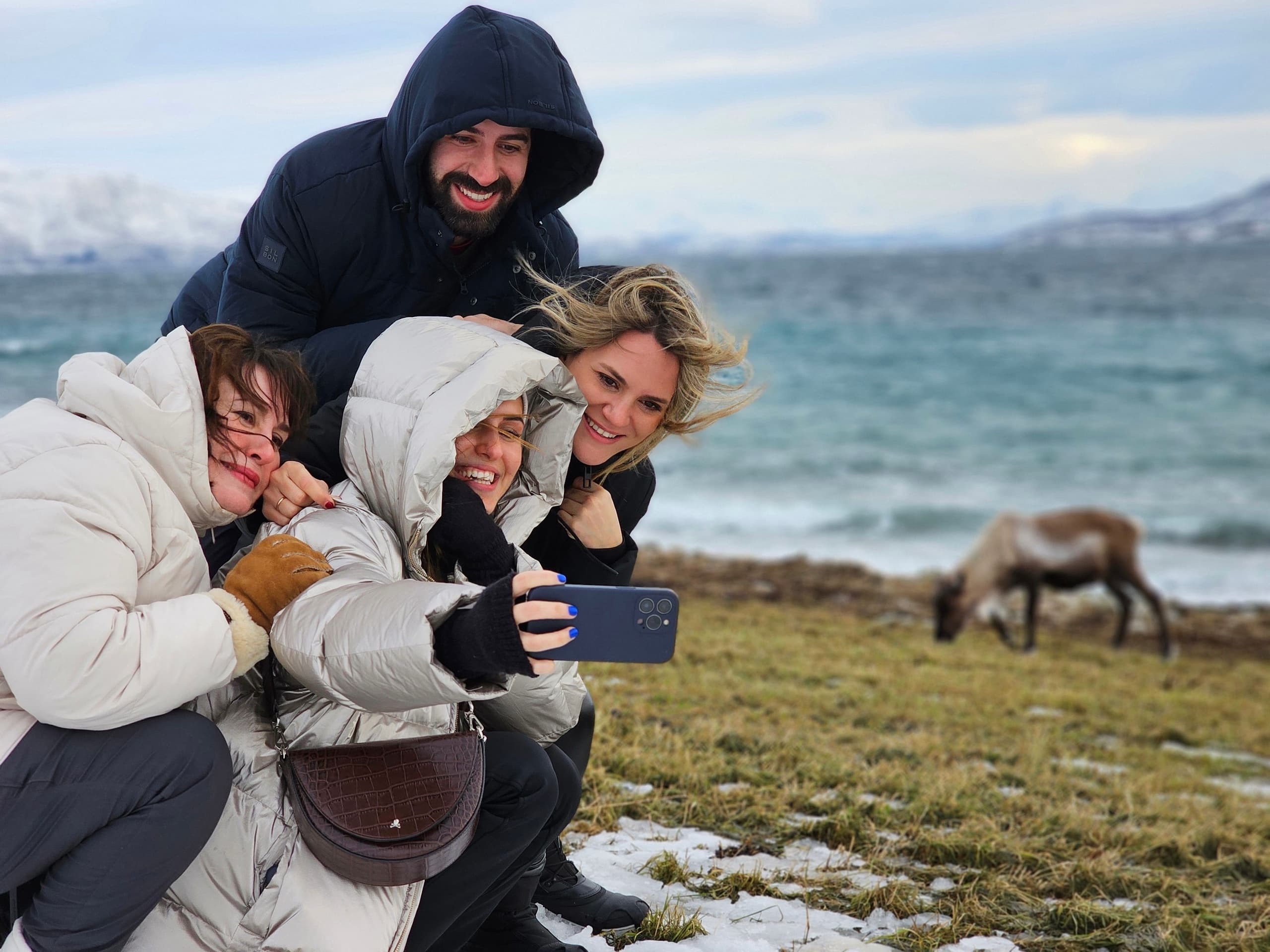 Private Arctic Wildlife & Fjord sightseeing by car