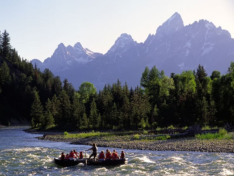 Wildlife and Whitewater Rafting Combo Trip (Jackson Hole)